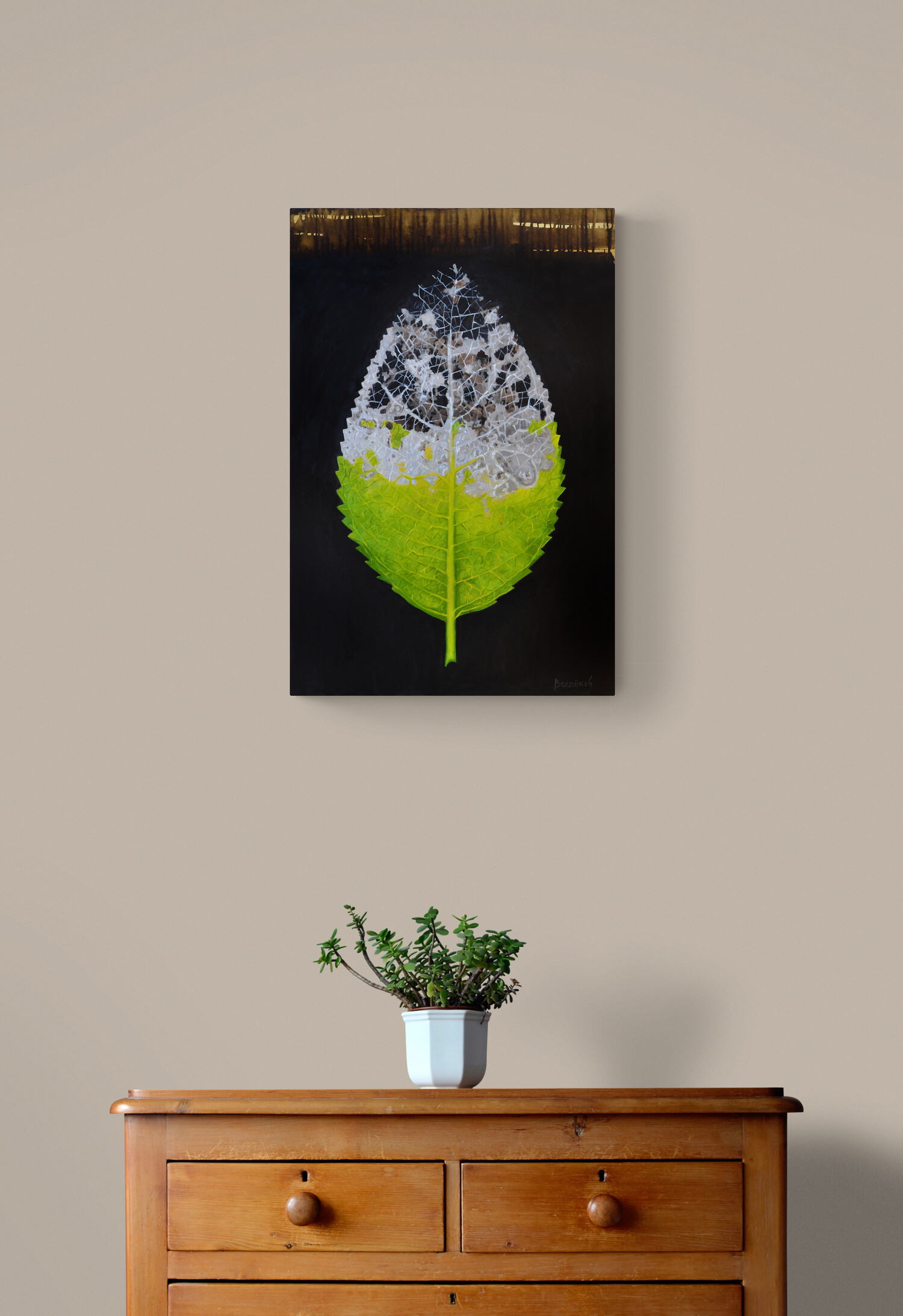 Plant_on_wooden_drawers